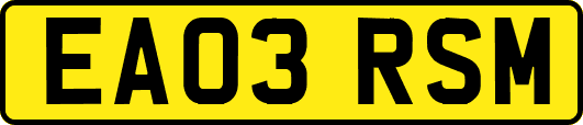 EA03RSM