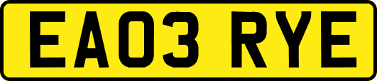 EA03RYE
