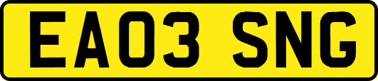 EA03SNG