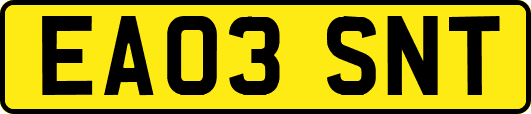 EA03SNT