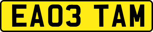 EA03TAM
