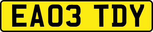 EA03TDY