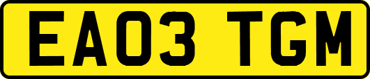 EA03TGM