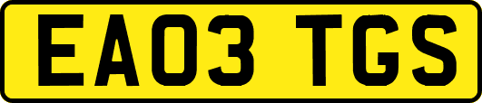 EA03TGS