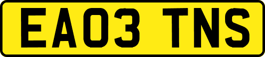 EA03TNS