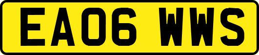 EA06WWS