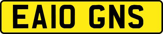 EA10GNS