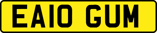 EA10GUM