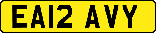 EA12AVY