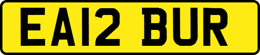 EA12BUR