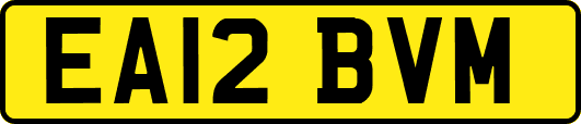 EA12BVM