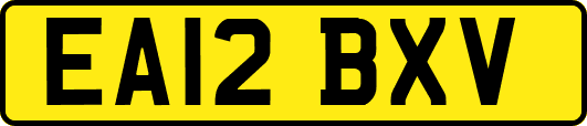 EA12BXV