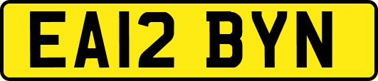 EA12BYN