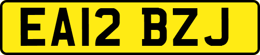 EA12BZJ