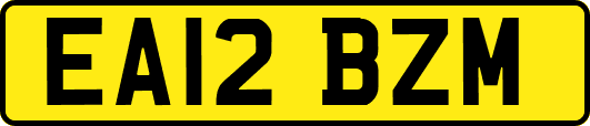 EA12BZM