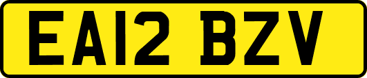 EA12BZV