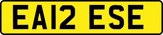 EA12ESE