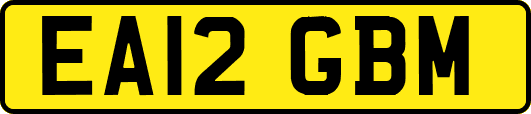 EA12GBM