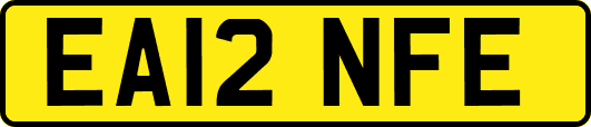 EA12NFE