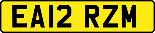 EA12RZM