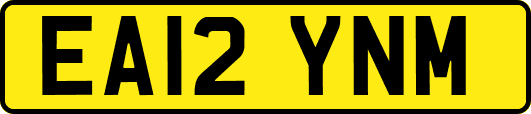 EA12YNM