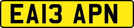 EA13APN