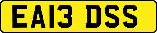 EA13DSS