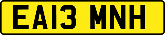 EA13MNH