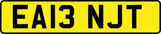 EA13NJT