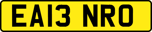 EA13NRO