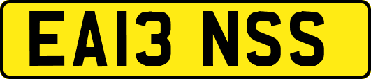 EA13NSS