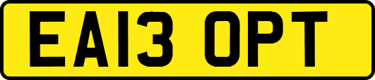 EA13OPT