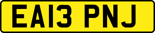 EA13PNJ