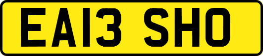 EA13SHO