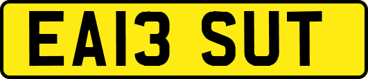 EA13SUT