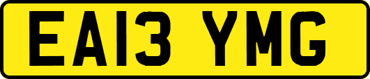 EA13YMG