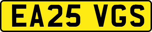 EA25VGS