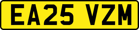 EA25VZM
