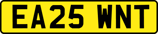EA25WNT