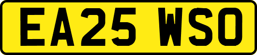 EA25WSO