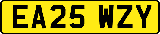 EA25WZY