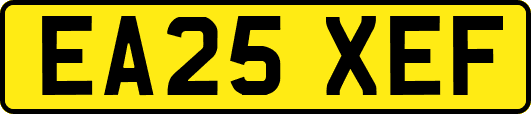 EA25XEF