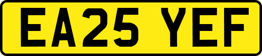 EA25YEF
