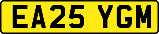 EA25YGM