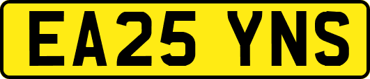 EA25YNS