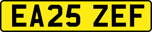 EA25ZEF