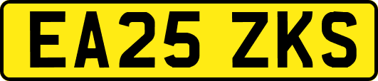 EA25ZKS