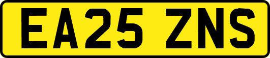 EA25ZNS