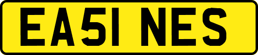 EA51NES