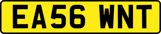 EA56WNT